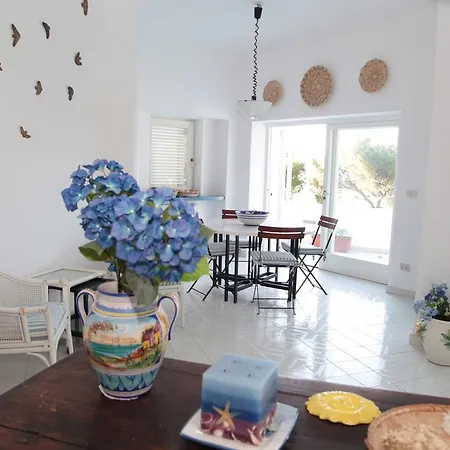 La Lampara Di Tuoro 別荘 *