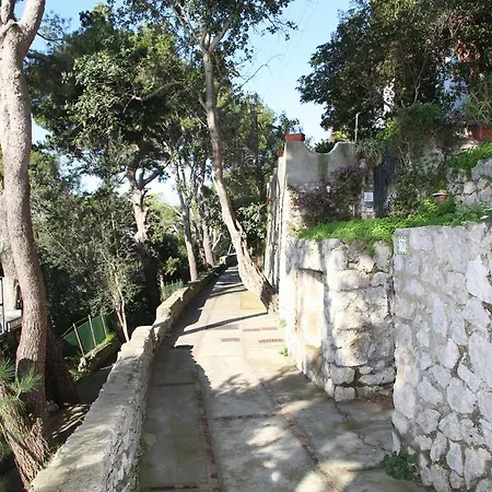 La Lampara Di Tuoro Capri